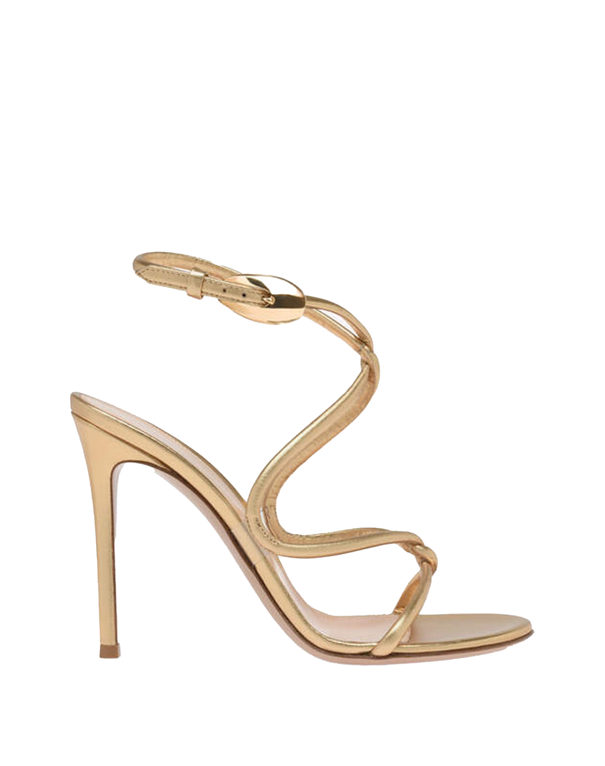 Gianvito Rossi Black Mamba Sandal