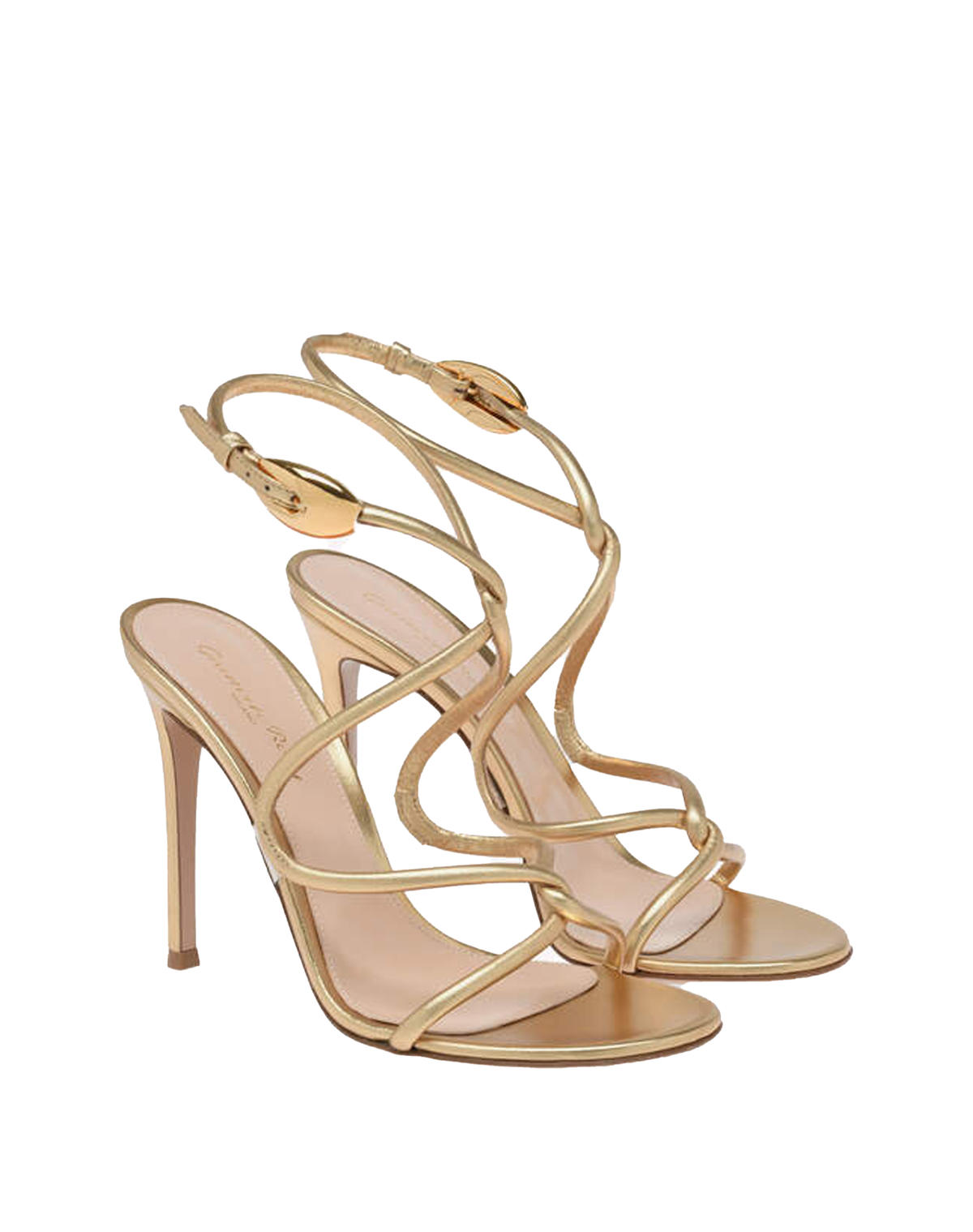 Gianvito Rossi Black Mamba Sandal